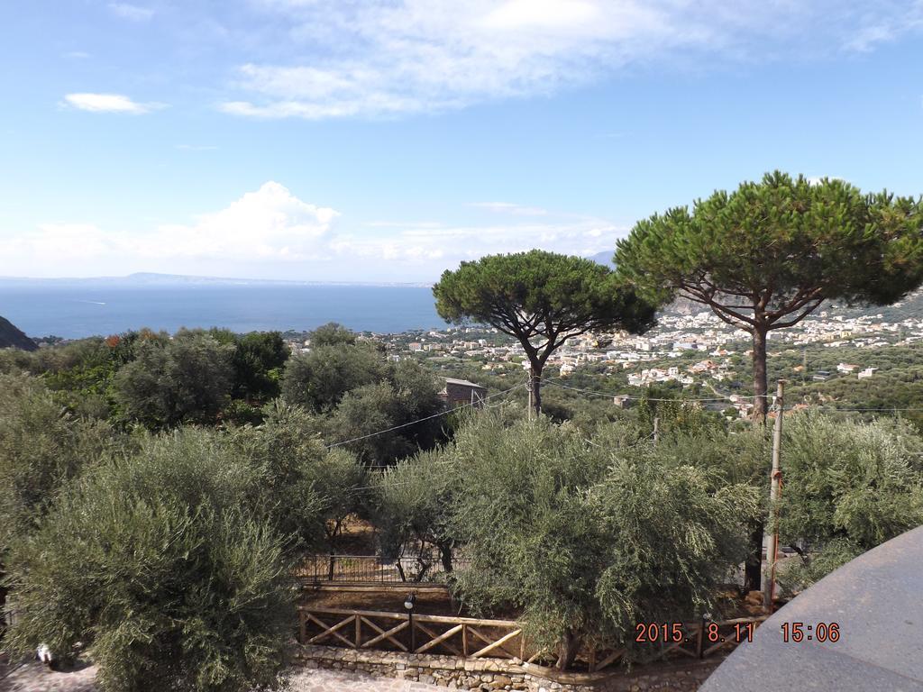 Appartamento Villa Degli Ulivi Sant'Agnello Habitación foto